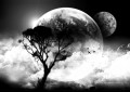blanco y negro nubes luna árbol